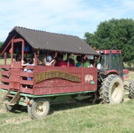 image related products