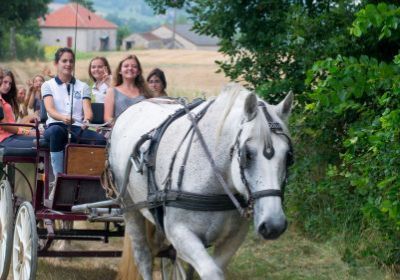 SEJOURS EQUITATION et ANIMATIONS OU INTENSIVE