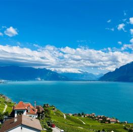 image related products