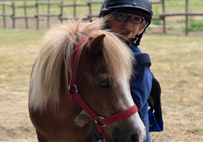 PASSION EQUITATION EN BOURGOGNE (automne)