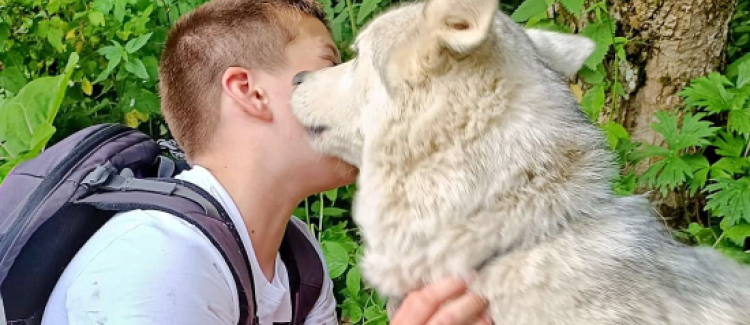 Calin avec chien de randonnée