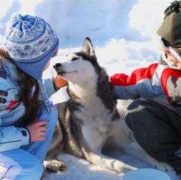 image related products