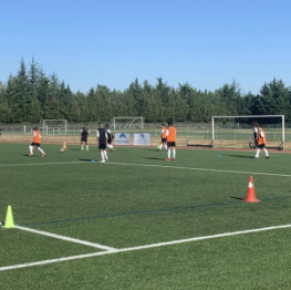 image related products