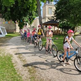 image related products