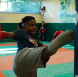 image related products