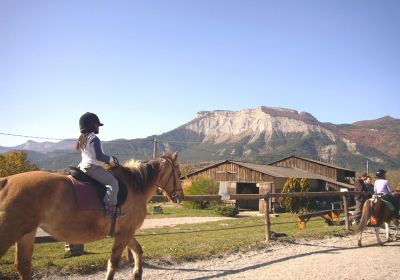 Passion Equitation / Passion Poney