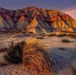 image related products