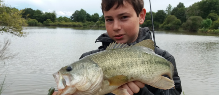 Pêche du black-bass au worm