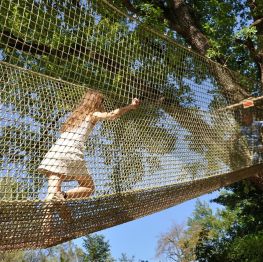 image related products