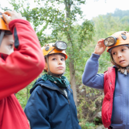 image related products