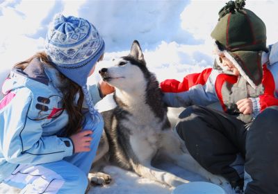 Crinières et boules de Poils à Ancelle