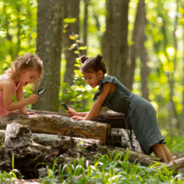 image related products