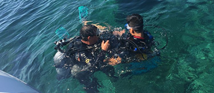 Supernova Colonie de vacances ado qui font de la longée sous-marine en corse