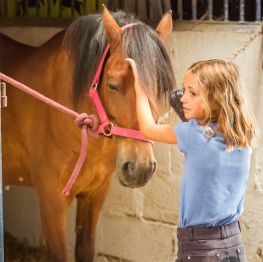 image related products