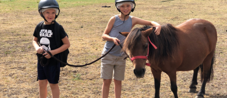 Équitation