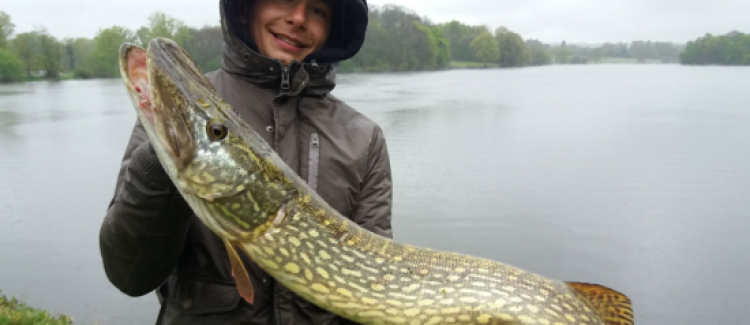 Pêche du brochet aux poissons nageurs