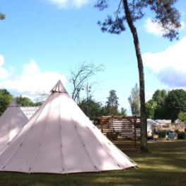 image related products