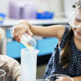 image related products