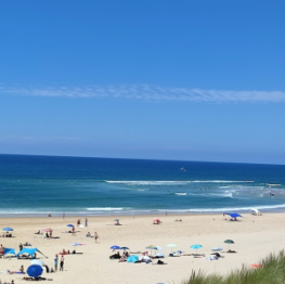 image related products