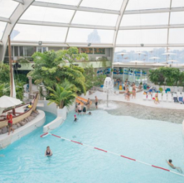 image related products