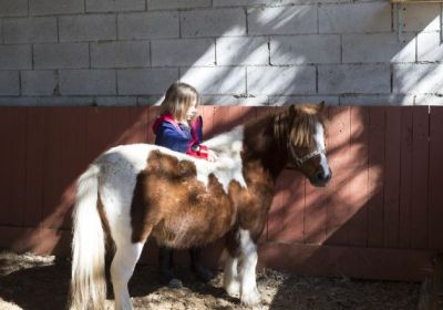 Mes premières vacances au poney et à la ferme