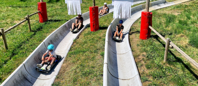 Luge d'été