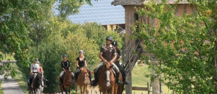 PIGEONNIER DU CENTRE