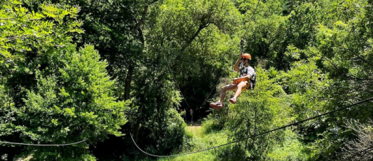 Parc d'accrobranches