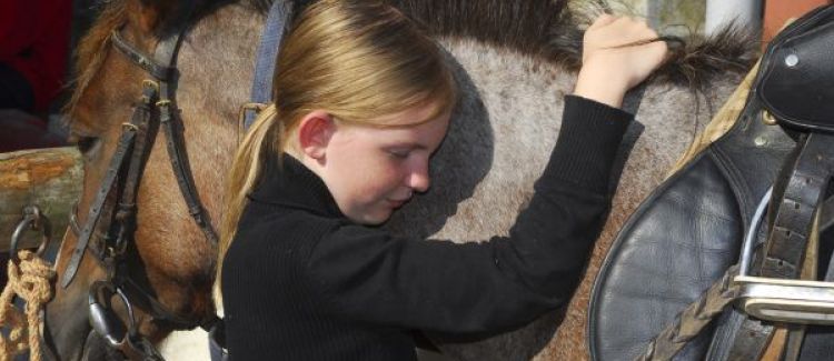 CALINS AUX PONEYS....