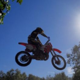 image related products