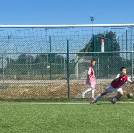 image related products