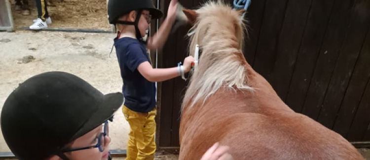 Séjour Passion Cheval - Soins