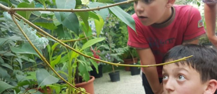 Supernova colonie de vacances enfants de 9 ans à la ferme aux papillons