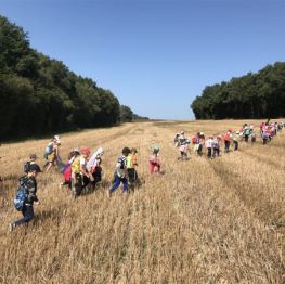 image related products