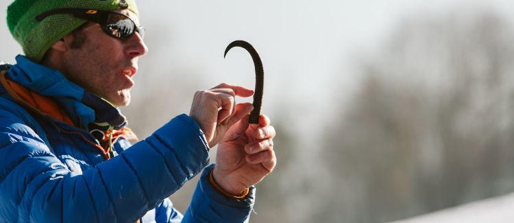 Faune sauvage du Vercors ETERPA