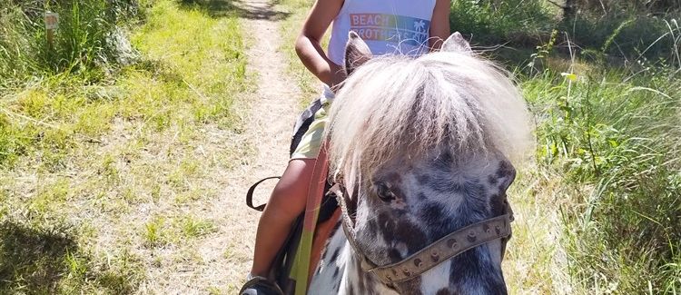 ballade à poney