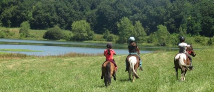 vacances enfant équitation poney cheval