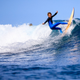 image related products