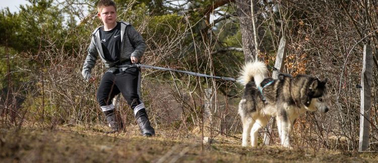 Cani-Aventure ETERPA