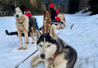 Chippewa Traîneaux Aventures (6/13 ans)
