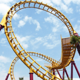 image related products