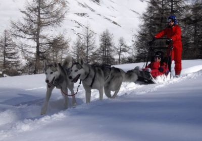ODYSSEE DU GRAND NORD