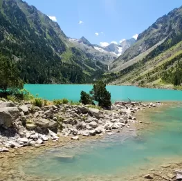 image related products