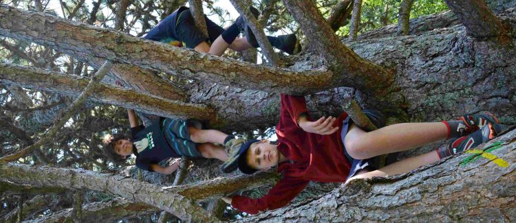 Cani-Aventure ETERPA