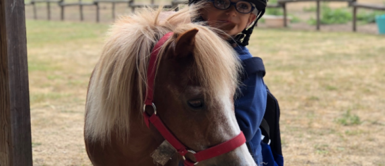 Équitation