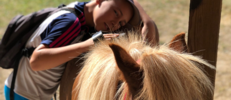 Équitation