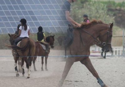 SEJOURS EQUITATION HIVER