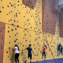 image related products