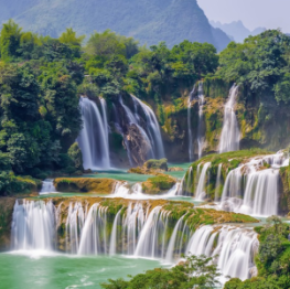 image related products