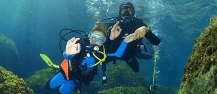 Plongée sous marine